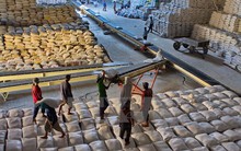 Philippines có thể nhập thêm 250.000 tấn gạo từ Việt Nam và Thái Lan