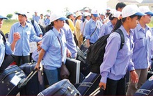 Hệ lụy từ cơn sốt xuất khẩu lao động