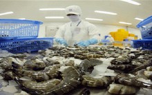 Xuất khẩu tôm tăng mạnh