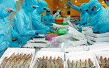 Ngành tôm loay hoay trước mục tiêu xuất khẩu 10 tỷ USD