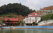 Chủ tịch Yên Bái chỉ đạo thanh tra vụ chuyển 13000m2 đất rừng thành đất ở