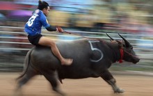 Khối ngoại bán thỏa thuận mạnh cổ phiếu Novaland, VN-Index tăng hơn 4,5 điểm