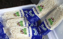 Tràn lan nấm Trung Quốc không rõ nguồn gốc