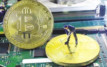 “Lướt sóng” tiền ảo và… niềm đau chôn giấu