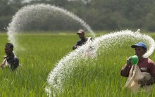 Phân bón Bình Điền (BFC) lãi sau thuế 350 tỷ đồng năm 2017, vượt 24% chỉ tiêu lợi nhuận được giao