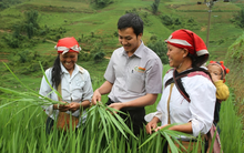 Lộc Trời (LTG): Đẩy mạnh quảng cáo, khuyến mãi, LNST năm 2017 tăng trưởng trên 21% so với năm 2016