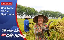 Anh Hai Lúa và giấc mơ tín dụng nông nghiệp, nông thôn