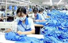 TCM: Cổ phiếu trong đà thăng hoa, báo lãi ròng 4 tháng đầu năm giảm hơn nửa về chỉ còn 40 tỷ đồng