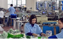 Doanh nhân là trụ cột của phát triển kinh tế tư nhân