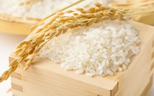 Tháng 9/2018 xuất khẩu gạo sụt giảm rất mạnh