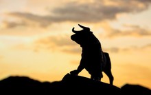 Thị trường mới nổi: Con gấu đã ở phía sau, còn bò đang phía trước