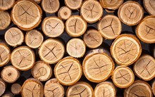 Gỗ Trường Thành sẽ đổi tên thành Toto Furniture, lên kế hoạch phát hành 100 triệu cổ phiếu nhận sáp nhập công ty