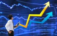 Chứng khoán IB thông qua phương án phát hành riêng lẻ 20 triệu cổ phiếu