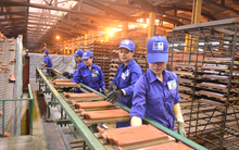 Viglacera Đông Triều (DTC): Lợi nhuận quý 3 chưa bằng 1/3 so với cùng kỳ