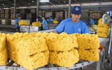 Trung Quốc chiếm hơn 66% lượng cao su xuất khẩu của Việt Nam