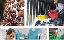 Doanh nghiệp nhỏ và vừa “chậm lớn” do thích làm kiểu “mì ăn liền“?