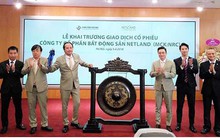 Netland đạt 57 tỷ lãi ròng sau 9 tháng, thực hiện 81% kế hoạch năm