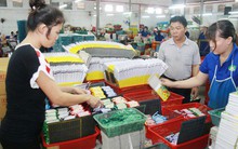 Hơn nửa triệu lao động hưởng trợ cấp BHXH một lần