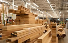 Vì sao Lý Quí Trung bỏ phở đi bán nội thất?