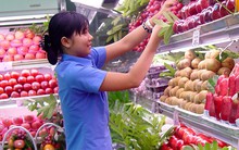 Hệ lụy từ ‘kỳ tích’ xuất khẩu trái cây… ảo