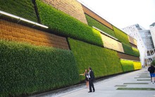 "Phép màu" nông nghiệp Israel được triển lãm ở trung tâm Hà Nội