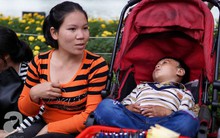 Giấc mơ bên chiếc xe nôi của mẹ em bé 4 tuổi, 2 năm không thể khép mi ngủ, cuối tuần đưa nhau lên phố đi bộ bán hàng