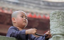 Cố tình sai chú tiểu mù đi đưa kinh thư, cao tăng âm thầm trao cho đệ tử 1 tài sản vô giá