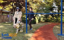 Ngôi trường dạy chó độc đáo nhất thế giới có gì đặc biệt?