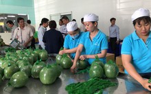 Đại gia bán lẻ Thái Lan mở trạm trung chuyển trái cây ở miền Tây