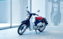 Super Cub C125 ra mắt thị trường Việt Nam, giá đắt ngang SH
