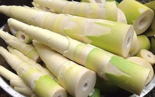 Măng rất tốt nhưng lại mang tiếng "thị phi": Ai nên ăn và ai phải tránh?