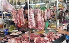 Giá heo khó tăng cao