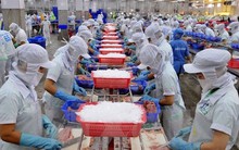 Xuất khẩu gần 1,5 triệu tấn thủy sản trong 9 tháng đầu năm 2018