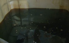 Triệt phá cơ sở làm dầu nhớt lậu, thu giữ hàng nghìn lít dầu