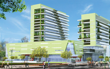 Dồi dào nguồn thu, 9 tháng Sao Mai Group (ASM) lãi 957 tỷ đồng cao gấp 8 lần cùng kỳ