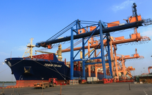 Lãi gần trăm tỷ trong quý 3/2018, Cảng Đình Vũ (DVP) lên kế hoạch tạm ứng 25% cổ tức bằng tiền