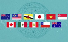 Chặng đường thăng trầm của Hiệp định CPTPP mà Việt Nam vừa thông qua