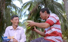 Hành trình ngược dòng Mê Kông ở thủ phủ dừa của Việt Nam