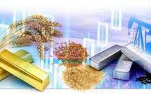 Thị trường ngày 17/11: Giá dầu có 6 tuần giảm liên tiếp