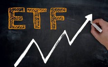 VNM ETF sẽ loại VCG, thêm GEX trong đợt cơ cấu danh mục tháng 12?