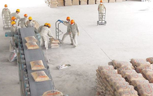 Xuất khẩu tăng mạnh, hàng loạt doanh nghiệp ngành xi măng báo lãi tăng đột biến so với cùng kỳ