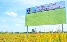 Đối tác cung cấp gạo vào siêu thị Vinmart chuẩn bị niêm yết trên sàn chứng khoán