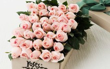 Những món quà ý nghĩa gửi tặng thầy cô nhân ngày 20/11