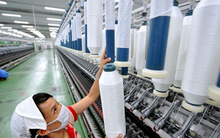 FTM giảm mạnh, Trưởng BKS Fortex vẫn muốn bán sạch gần 4 triệu cổ phiếu