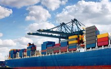 Ách tắc container thủy sản tại cảng: Doanh nghiệp "ngồi trên lửa" chờ Bộ NNPTNT