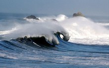 Ngành cà phê, dầu khí lo ngại ảnh hưởng của bão số 9