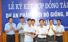 BIDV Hà Tĩnh và khoản tín dụng nghìn tỷ cho công ty chăn nuôi bò