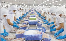 Xuất khẩu thủy sản đạt hơn 7 tỷ USD trong 10 tháng đầu năm 2018