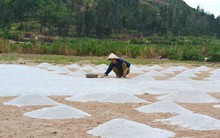 Khi 'vàng trắng' bị giả danh