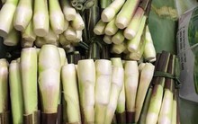 Kiếm bộn tiền nhờ trồng củ niễng